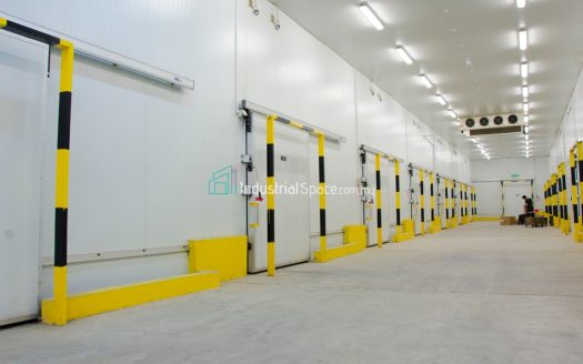 Cold Room For Rent in Northport Bu 800 & 1600 Sqft